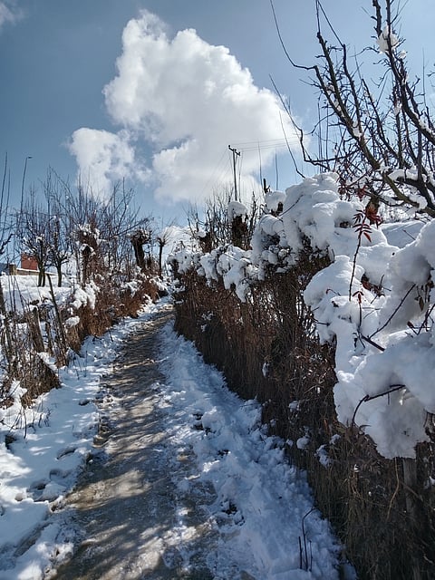 A shot of fresh snowfall in Tangmarg