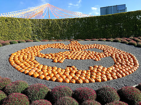 A display of pumpkins which resemble a jack-o'-lantern at Gardaland Park in Italy