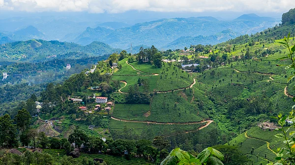 Shutterstock : Aerial View Of Munnar Tea Plantations, Kerala