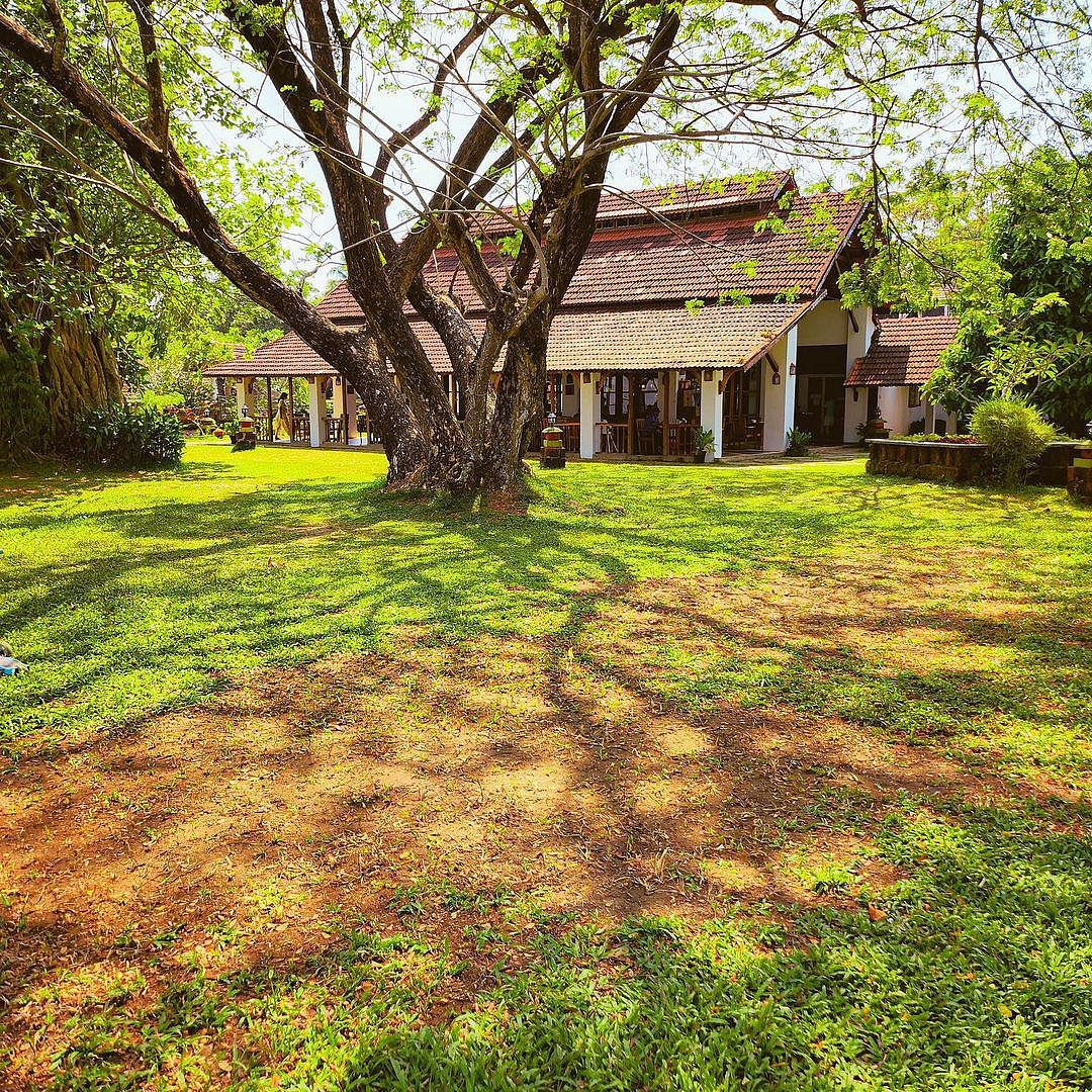 Punnamada Resort is known for its Ayurvedic wellness centre