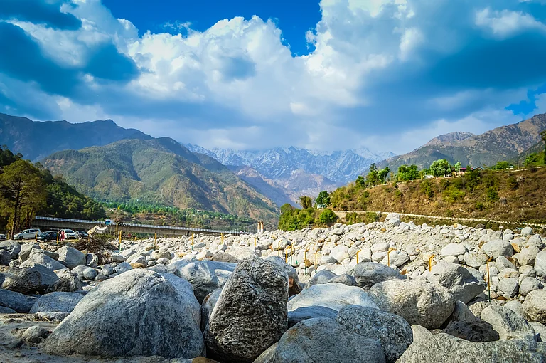 Palampur is a quaint tea town nestled in the Himalayas - Shutterstock.com