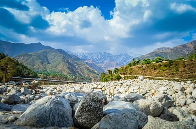 Shutterstock.com : Palampur is a quaint tea town nestled in the Himalayas