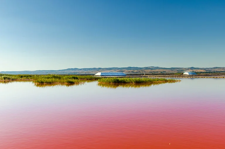 Lake Atanasovsko in Burgas - Shutterstock