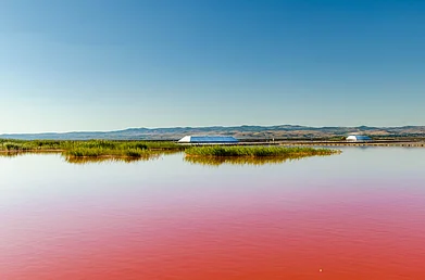 Shutterstock : Lake Atanasovsko in Burgas