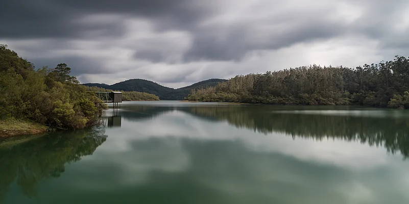 The Parsons Valley Reservoir is a natural habitat for wildlife like panthers, tigers and bison