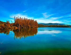 Shutterstock : The Emerald Lake of Ooty in the daytime