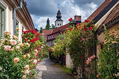 Shutterstock : The mediaeval charm of Visby, Sweden