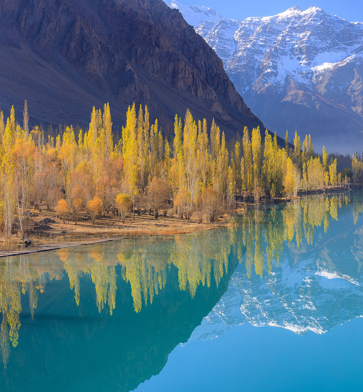 Shutterstock : A view of the autumn season in Leh