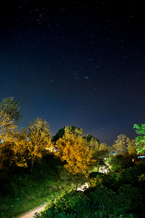 The starry sky of Coorg at night