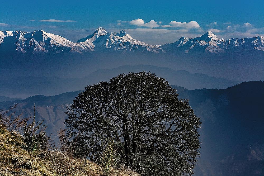 himalayaさま専用になりました Can The Himalayas Outlast Tourism?