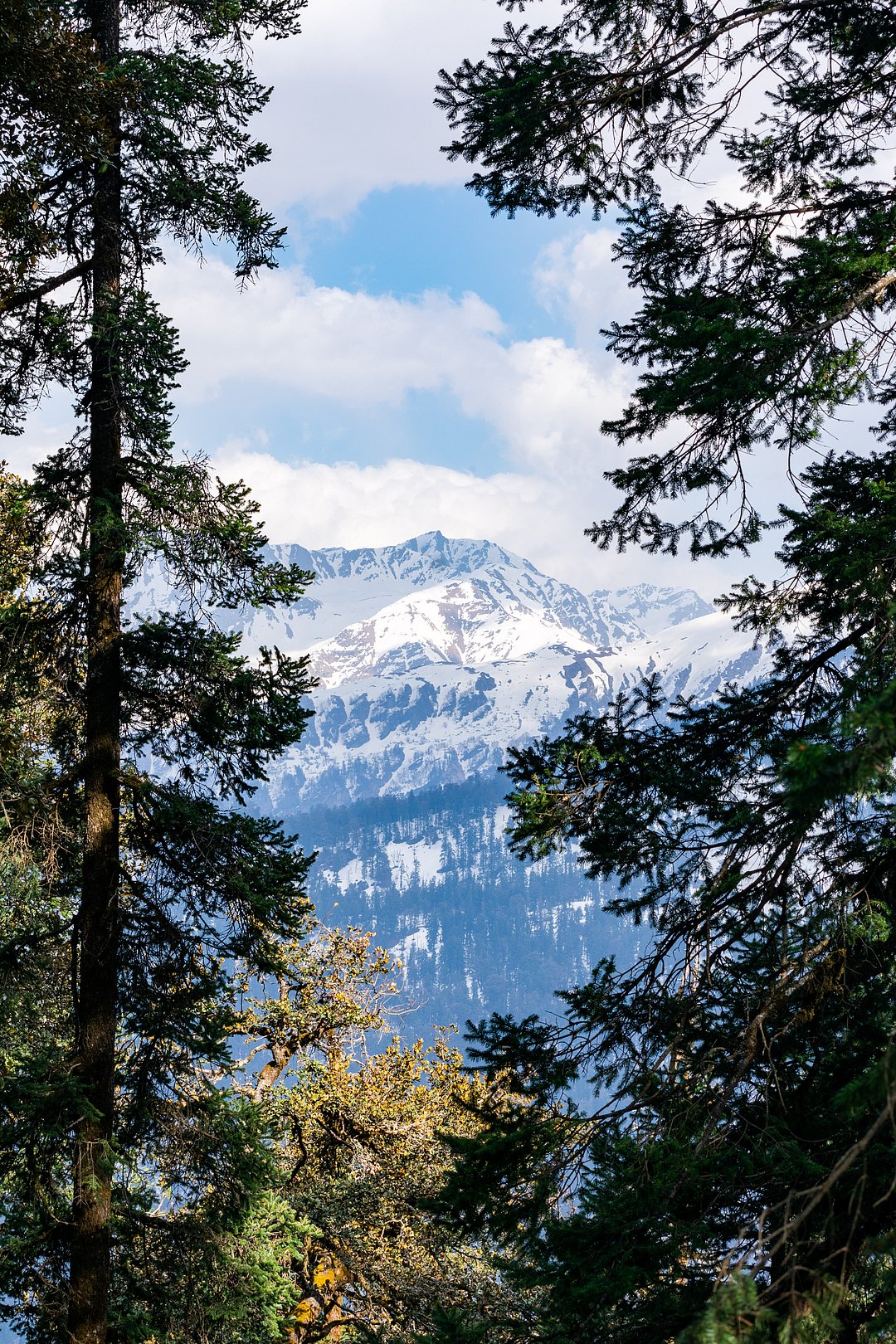 Views along the Kedarkantha Trek