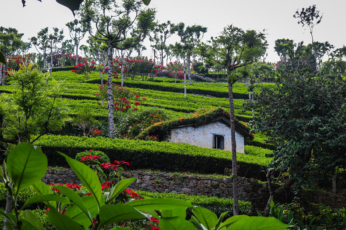 Take in the beautiful views of the stops