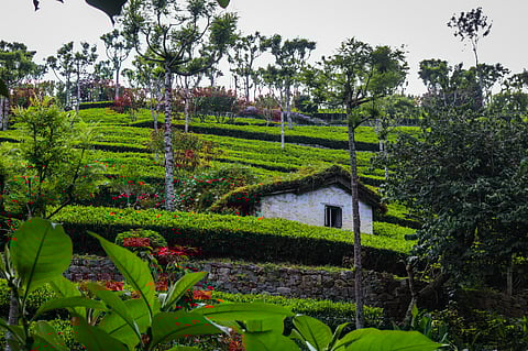 Take in the beautiful views of the stops