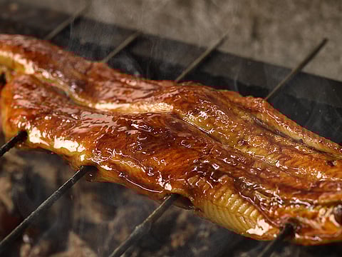 Authentic charcoal grilled eel at Doi Katsuman