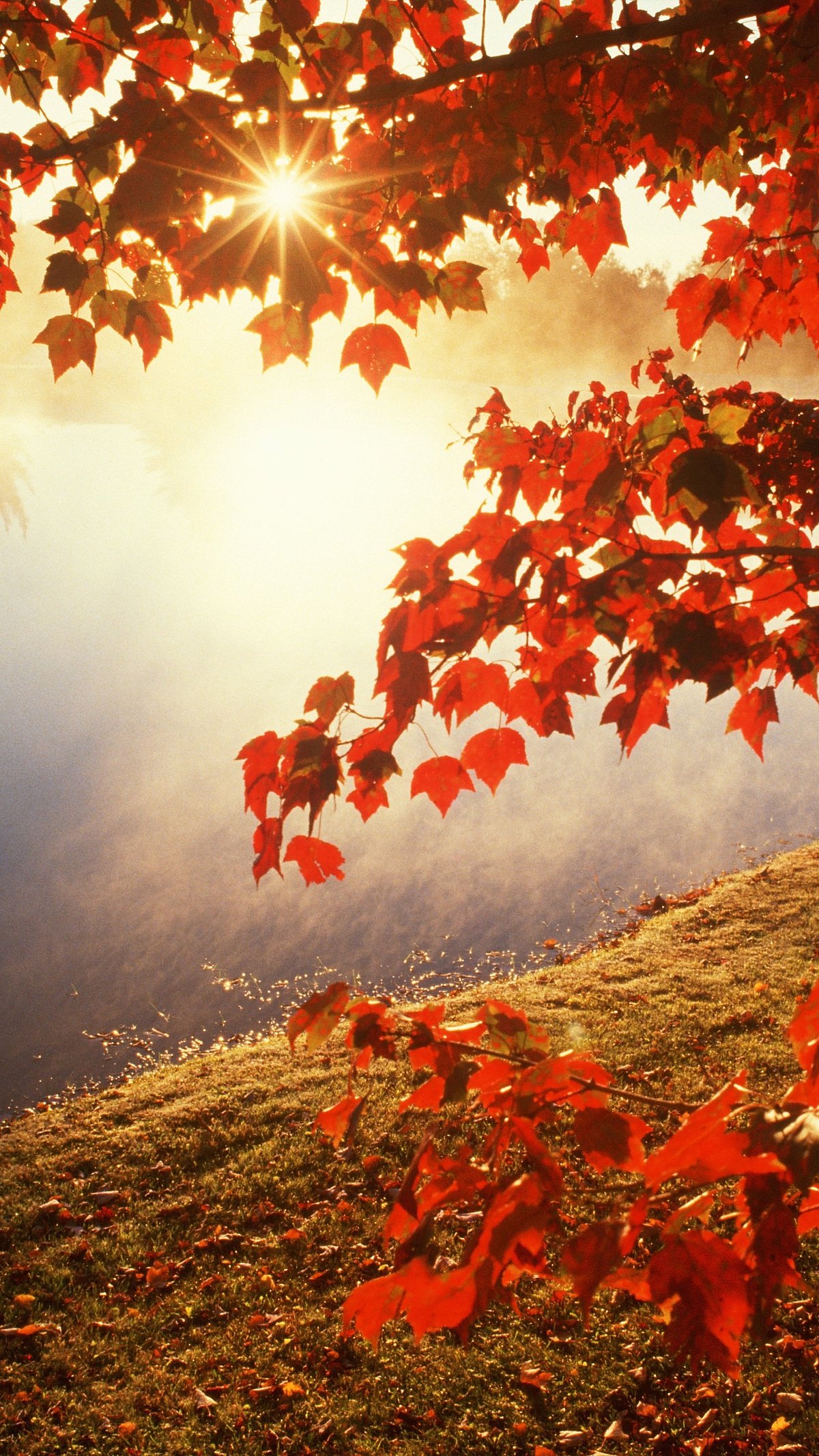 Shutterstock : Fall season in US