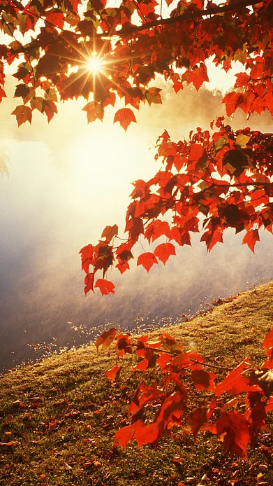 Shutterstock : Fall season in US