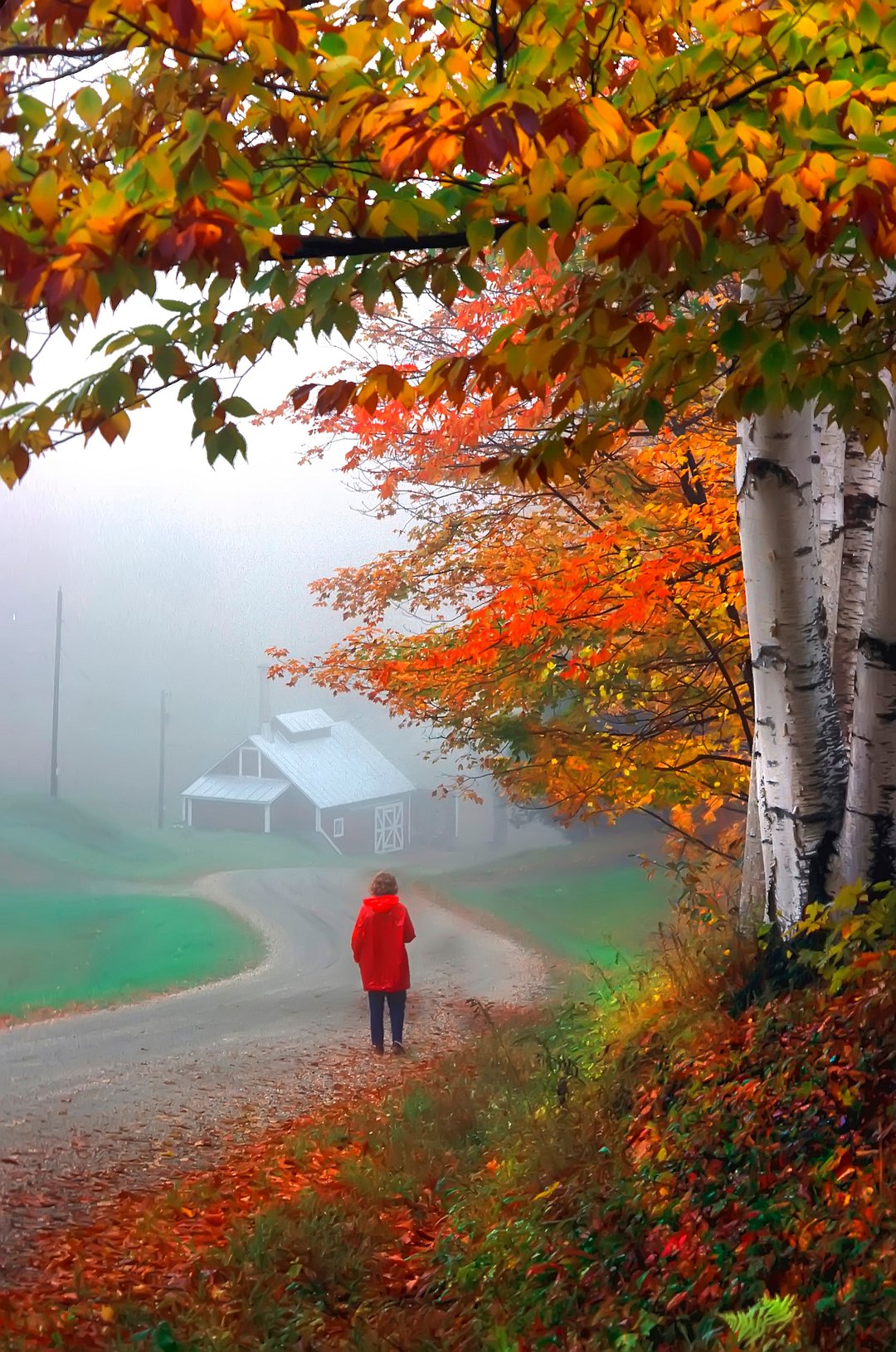 Sugar Shack near Woodstock, Vermont. Autumn