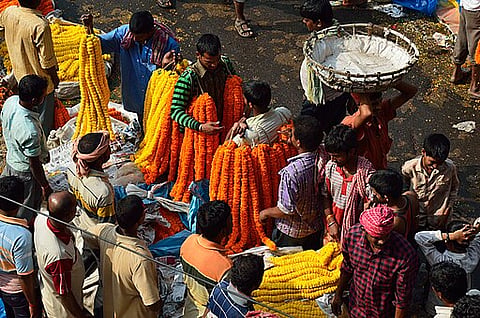 Enjoy a round of candid photography at the Mallickghat Flower Market
