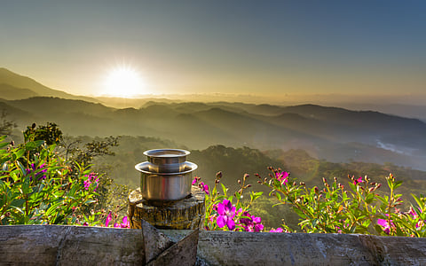 Coffee sachets are one of the top things to buy back from your Munnar trip