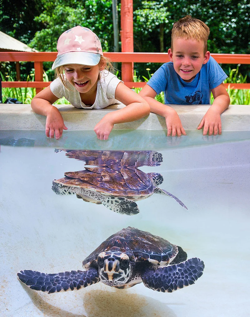 Children will enjoy interactive experiences