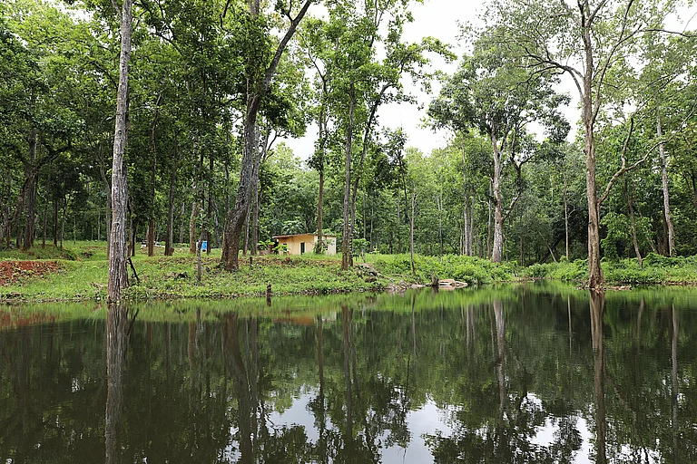 Similipal Tiger Reserve - Shutterstock