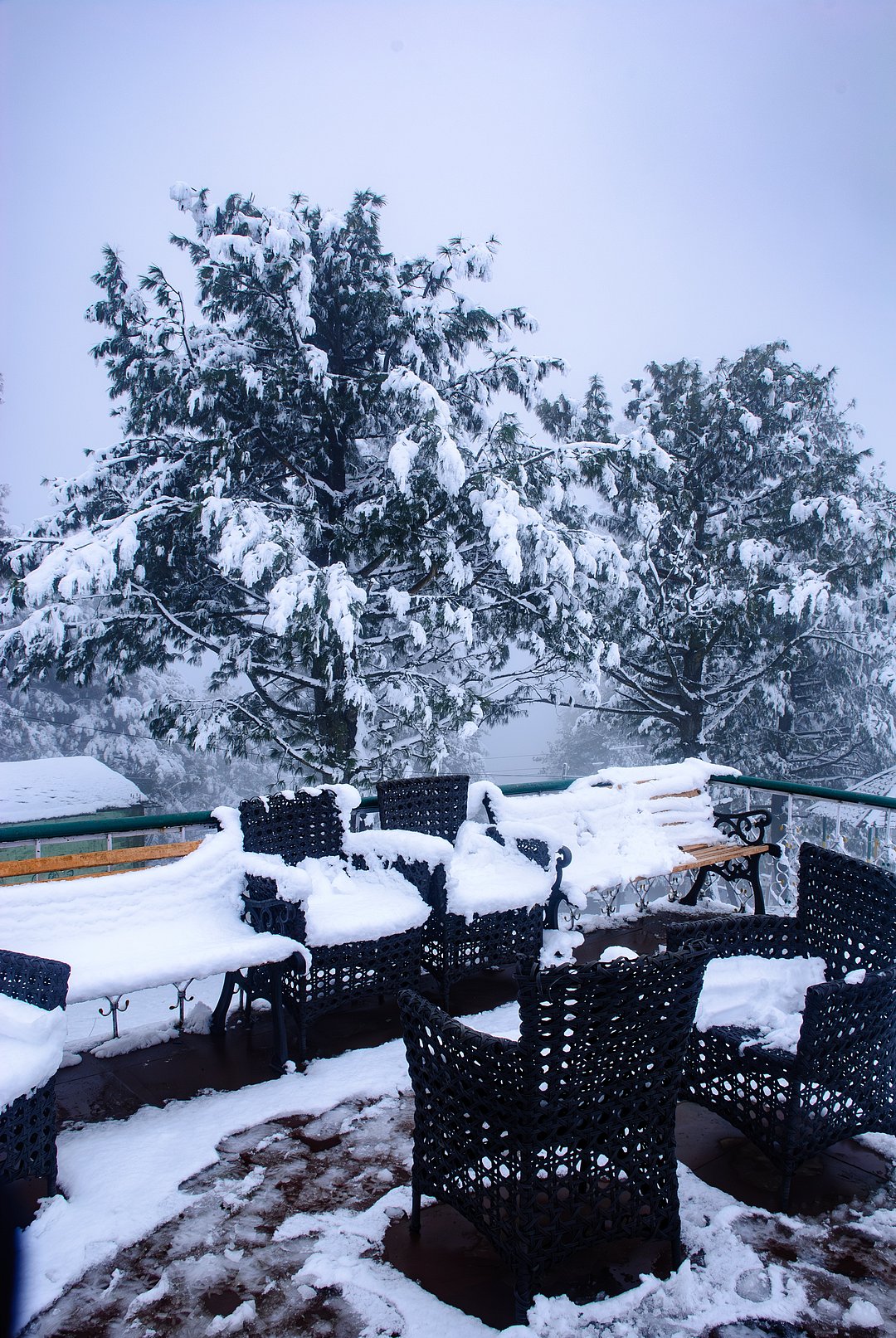 A wintry scene in Gulmarg