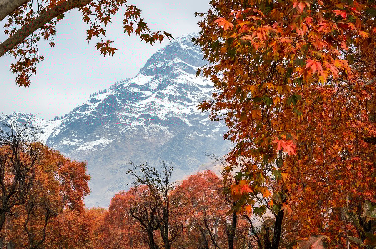 Shutterstock.com : Autumn is the best time to visit Kashmir