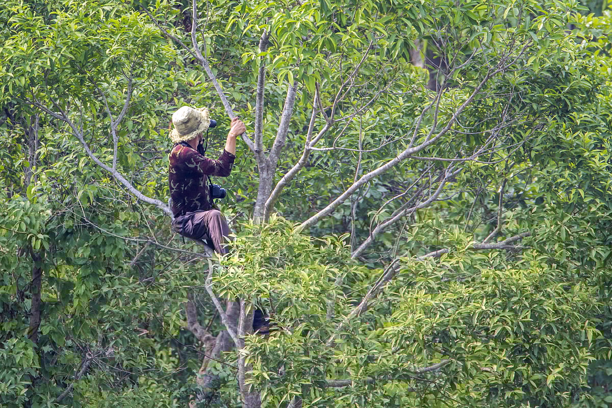 Do not get very close to birds as it can disturb their natural behaviour