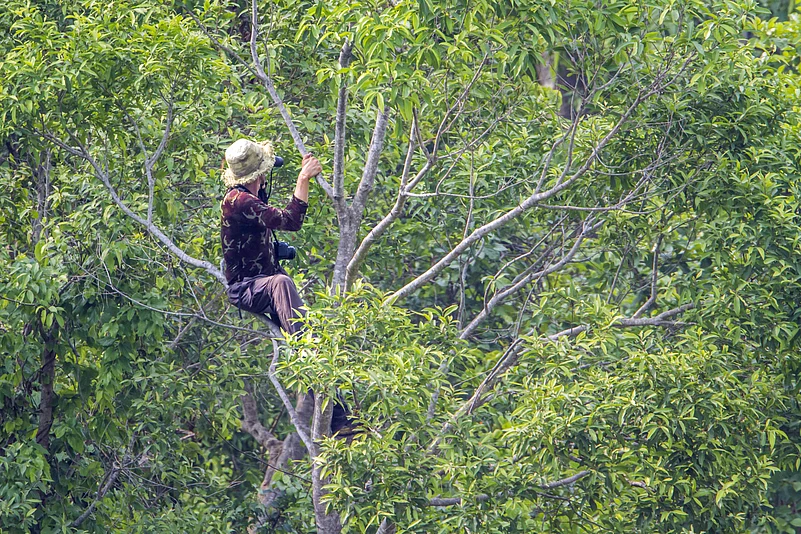 Do not get very close to birds as it can disturb their natural behaviour