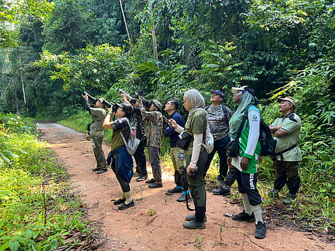 A tour group of no more than three to four people is less likely to disturb birds in their habitat