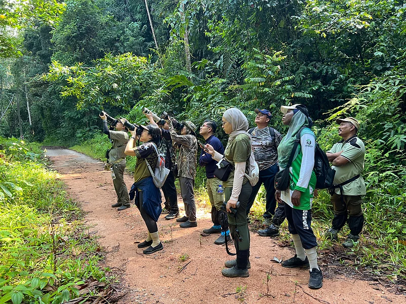 A tour group of no more than three to four people is less likely to disturb birds in their habitat