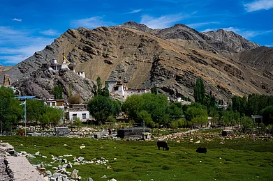 Shutterstock : Hemis Shukpachan, beautiful village in Sham Valley