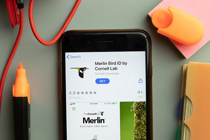 Apps like Merlin Bird ID offer quick identification to help birdwatchers learn about birds in any country in the world