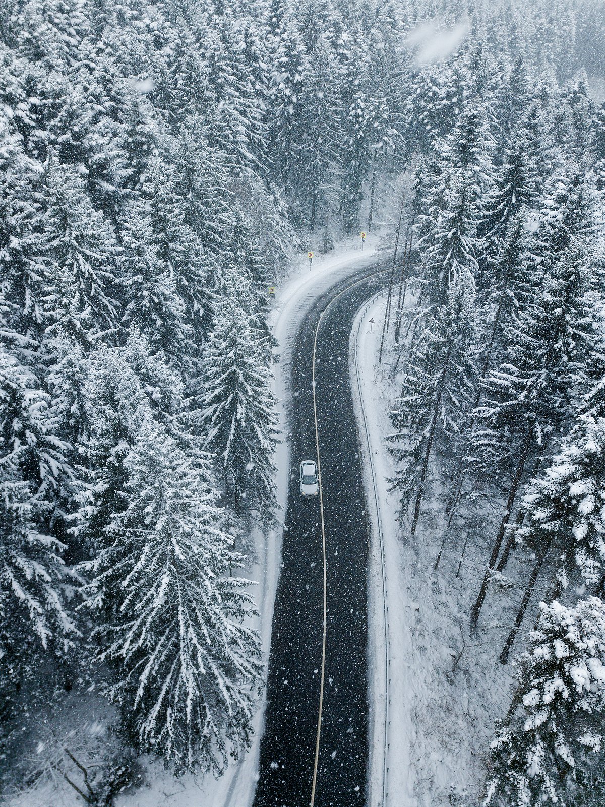 Shutterstock : A car rides through a dense wintry landscape; a representative image