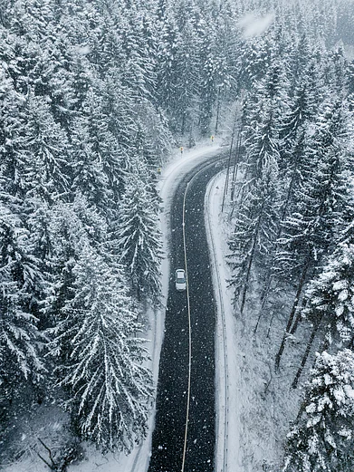 Shutterstock : A car rides through a dense wintry landscape; a representative image