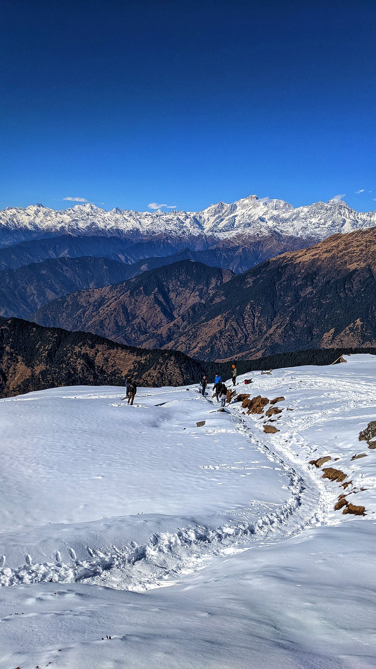 Tungnath - Chandrashila Uttrakhand Trek 