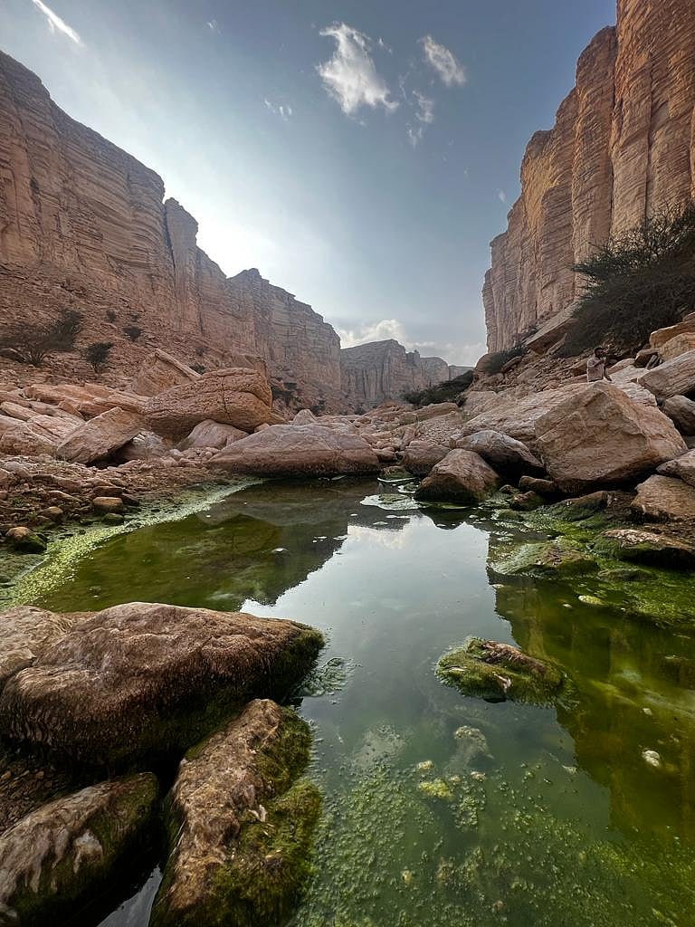 The Ibex Protected Area also provides a habitat for other vulnerable species, including mountain, rock hyraxes, foxes, birds and reptiles