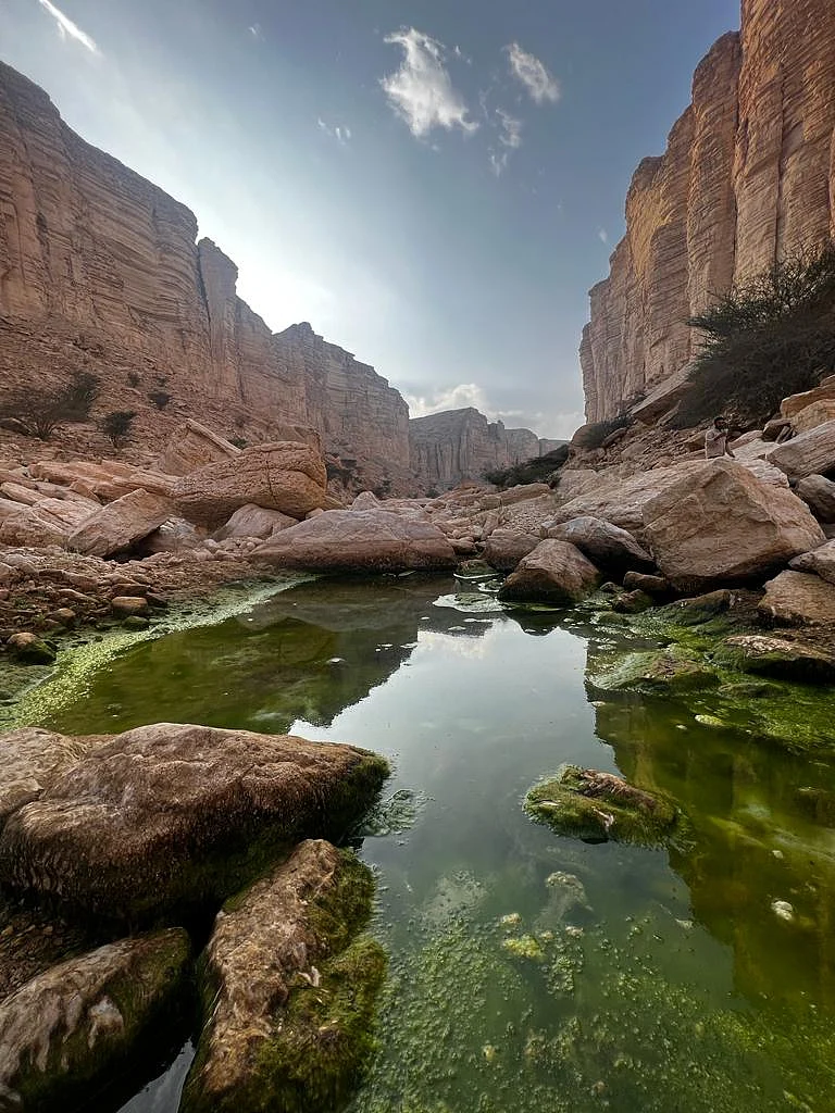 The Ibex Protected Area also provides a habitat for other vulnerable species, including mountain, rock hyraxes, foxes, birds and reptiles