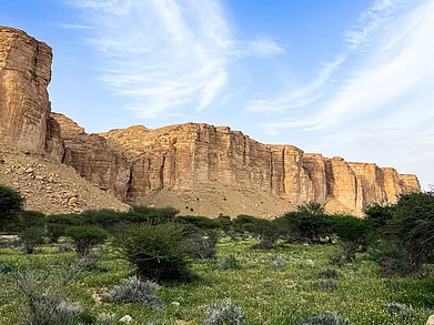Copyright: Saudi Tourism Authority : The rugged plateau of the Ibex Protected Area supports a variety of flora and fauna