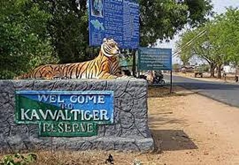 Kawal Tiger Reserve