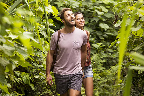 Fiji's stunning rainforests, with cascading waterfalls and lush greenery, provide a perfect backdrop filled with the sounds of tropical birds