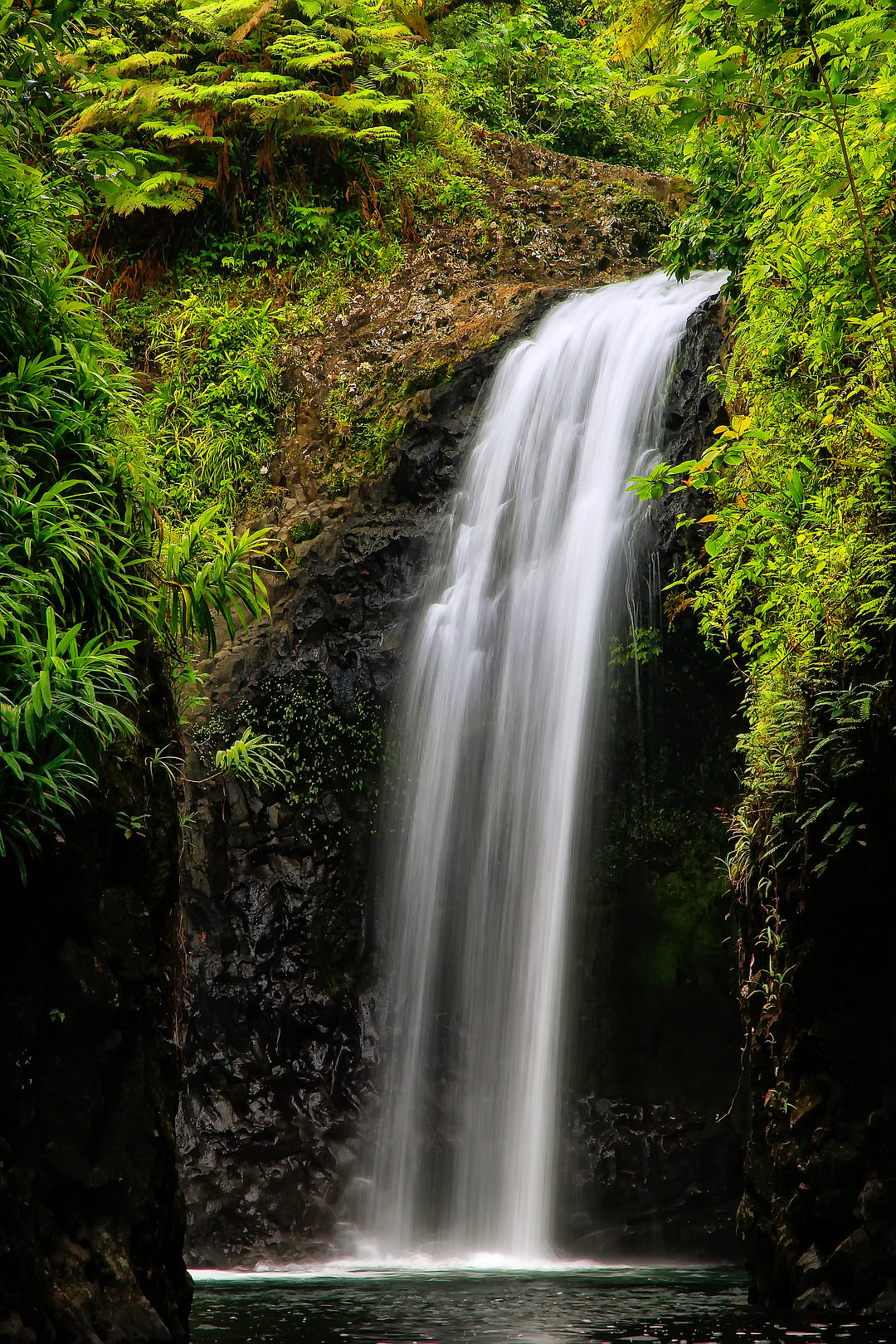 A look at the serene Wainibau Falls