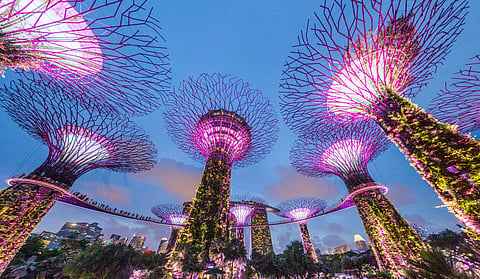 The lit-up Supertree Grove of Gardens by the Bay