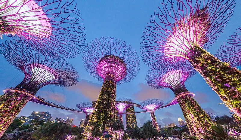 The lit-up Supertree Grove of Gardens by the Bay