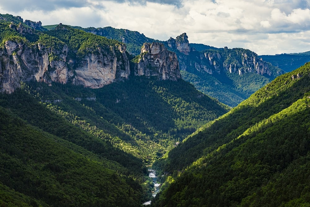 The gorges of the river Tarn
