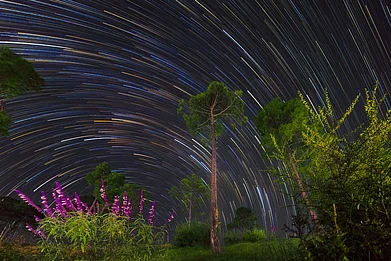 Copyright: Shikhar Gupta : Uttarakhand is one of the best places in India for night sky views