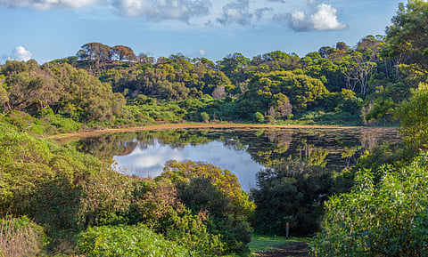 The Tower Hill Wildlife Reserve is a protected area that was established in 1892