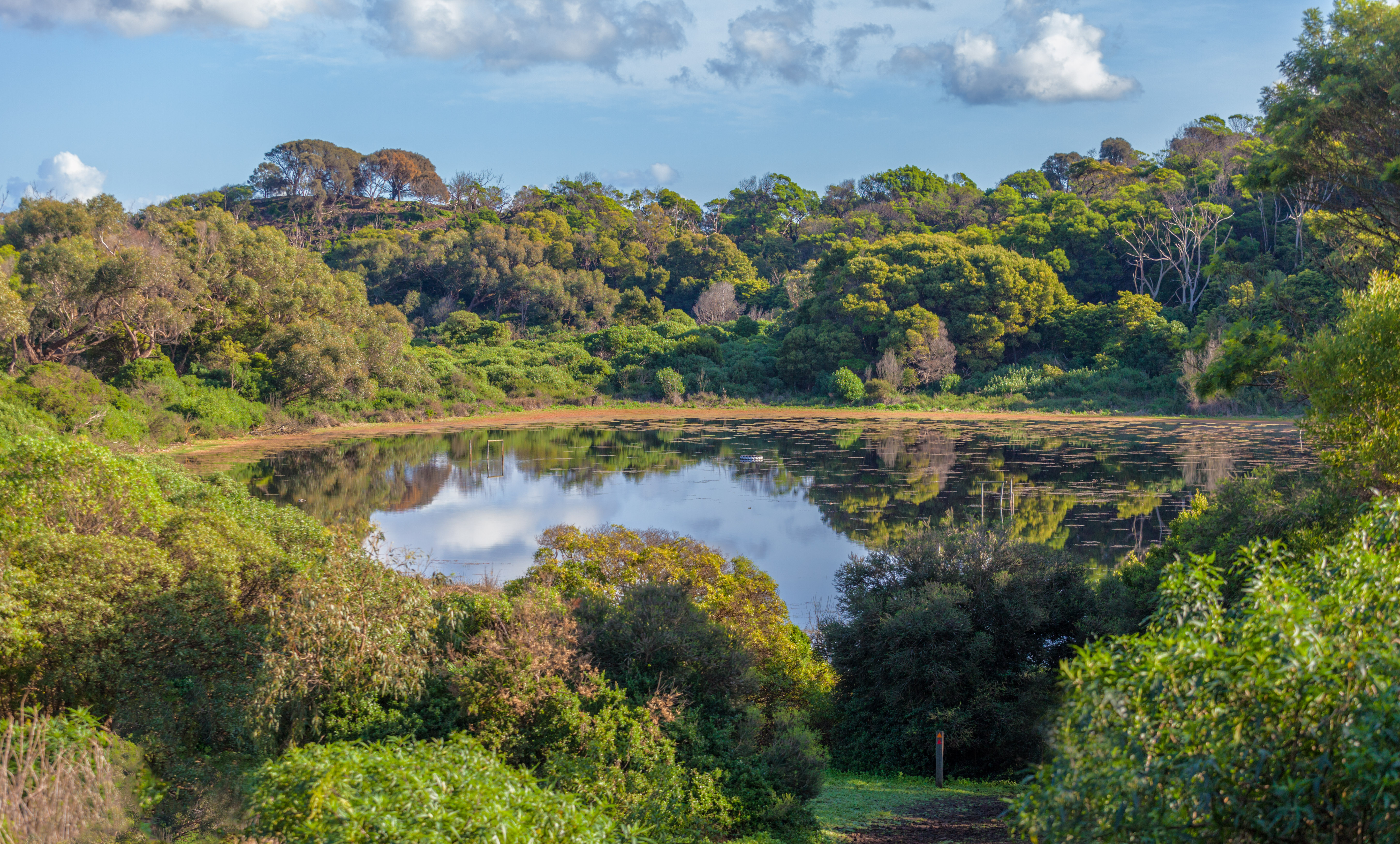 The Tower Hill Wildlife Reserve is a protected area that was established in 1892