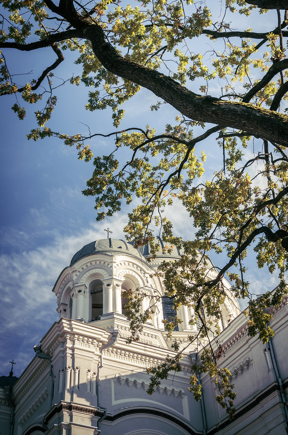 Shutterstock : Part of columns, dome and some exterior details of Roman-Byzantine style St. Michael the Archangels Church in Kaunas