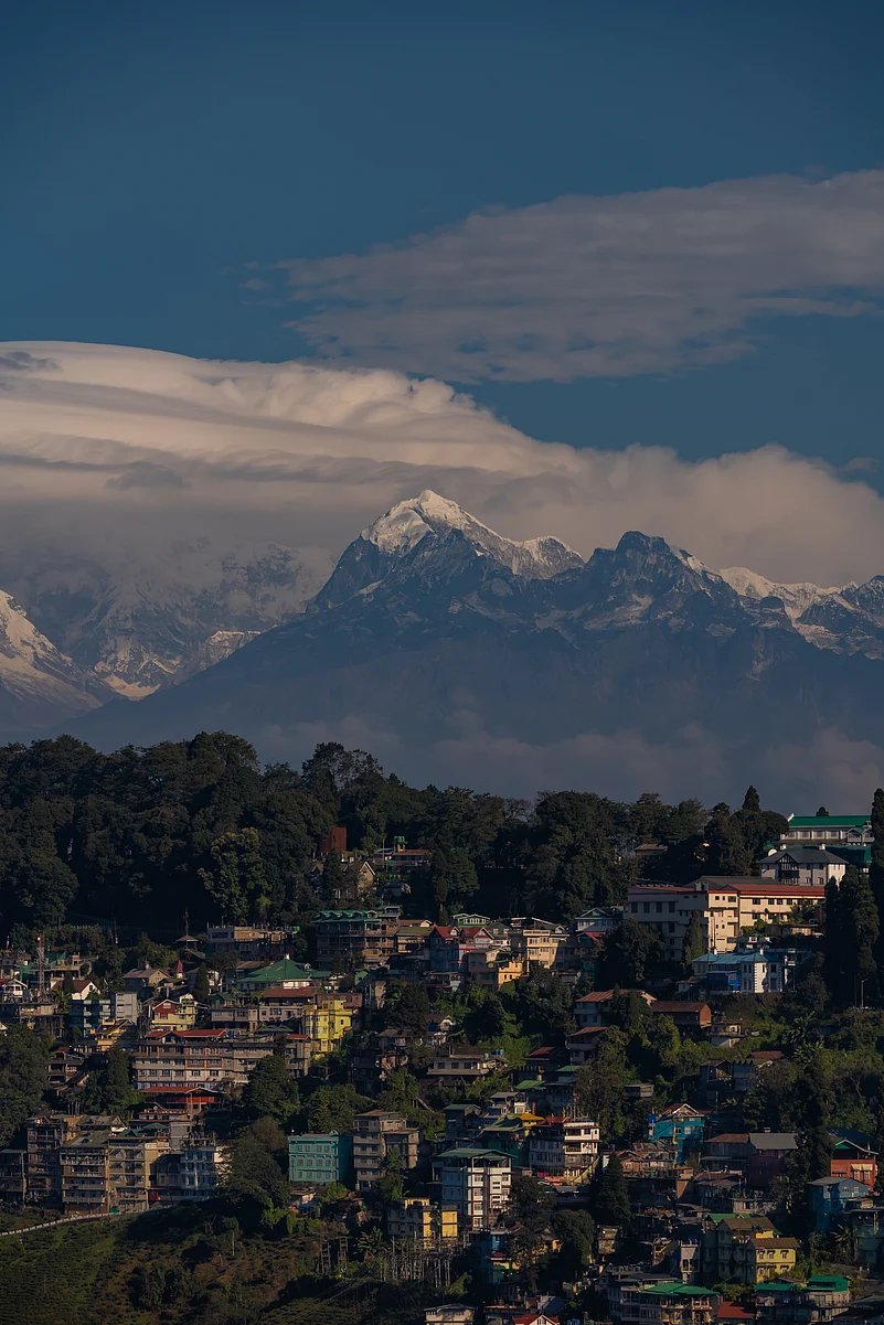 Habitat encroachment in the Eastern Himalayas has led to the red panda being listed as threatened